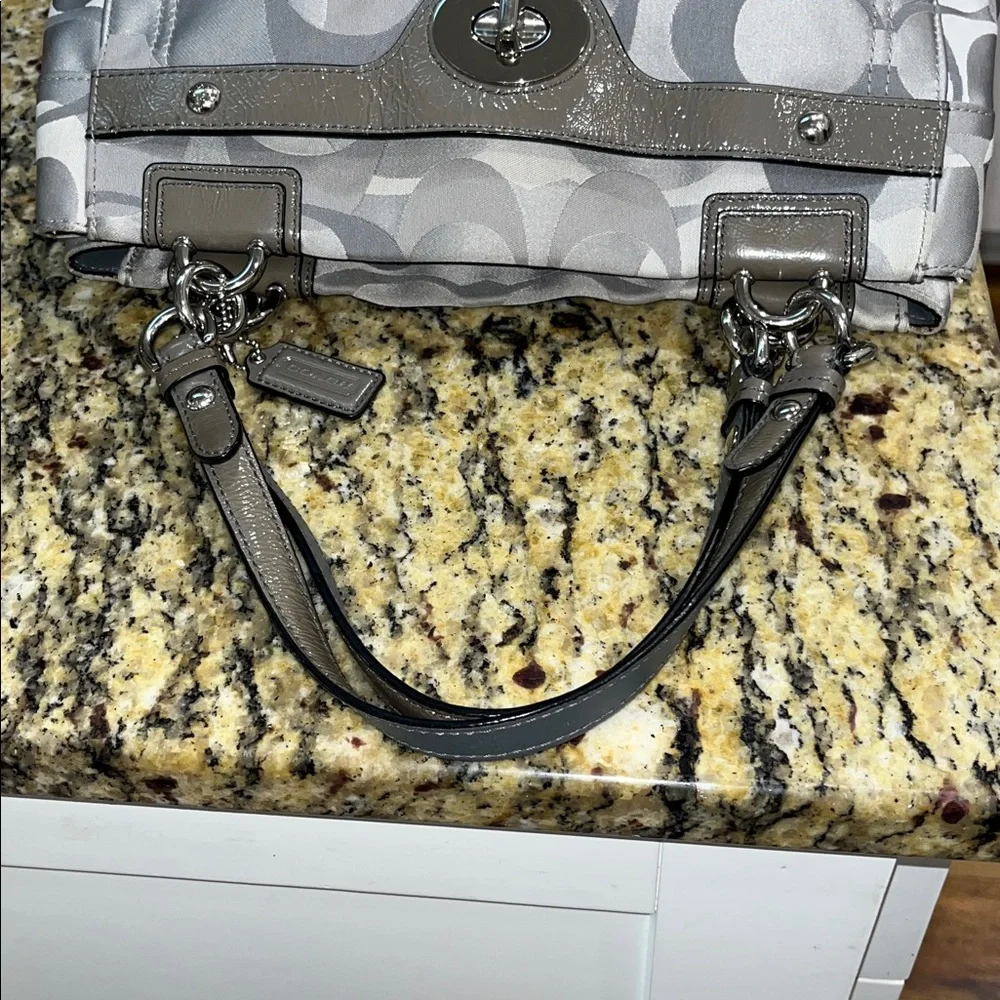 EUC Authentic Y2K Coach Penelope Optic Gray Signature Handbag